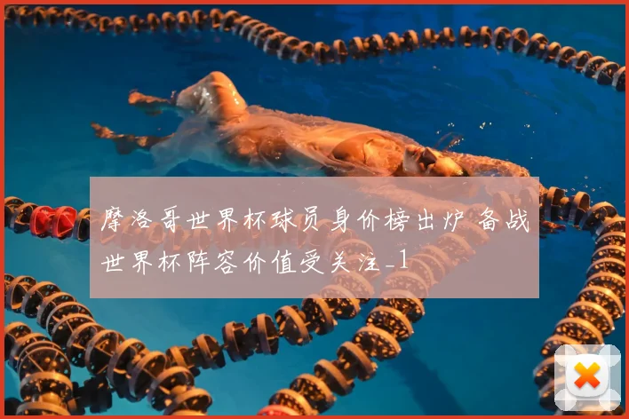 摩洛哥世界杯球员身价榜出炉 备战世界杯阵容价值受关注_1