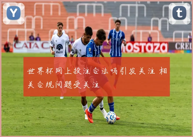 世界杯网上投注合法吗引发关注 相关合规问题受关注