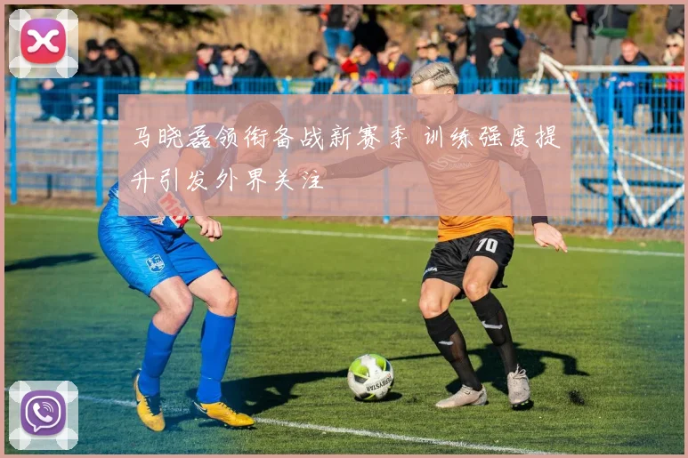 马晓磊领衔备战新赛季 训练强度提升引发外界关注